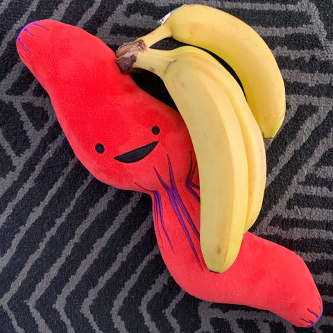 Stuffed Animal - Esophagus