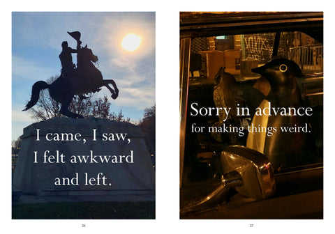 Book (Hardcover) - Sorry in advance for making things weird.