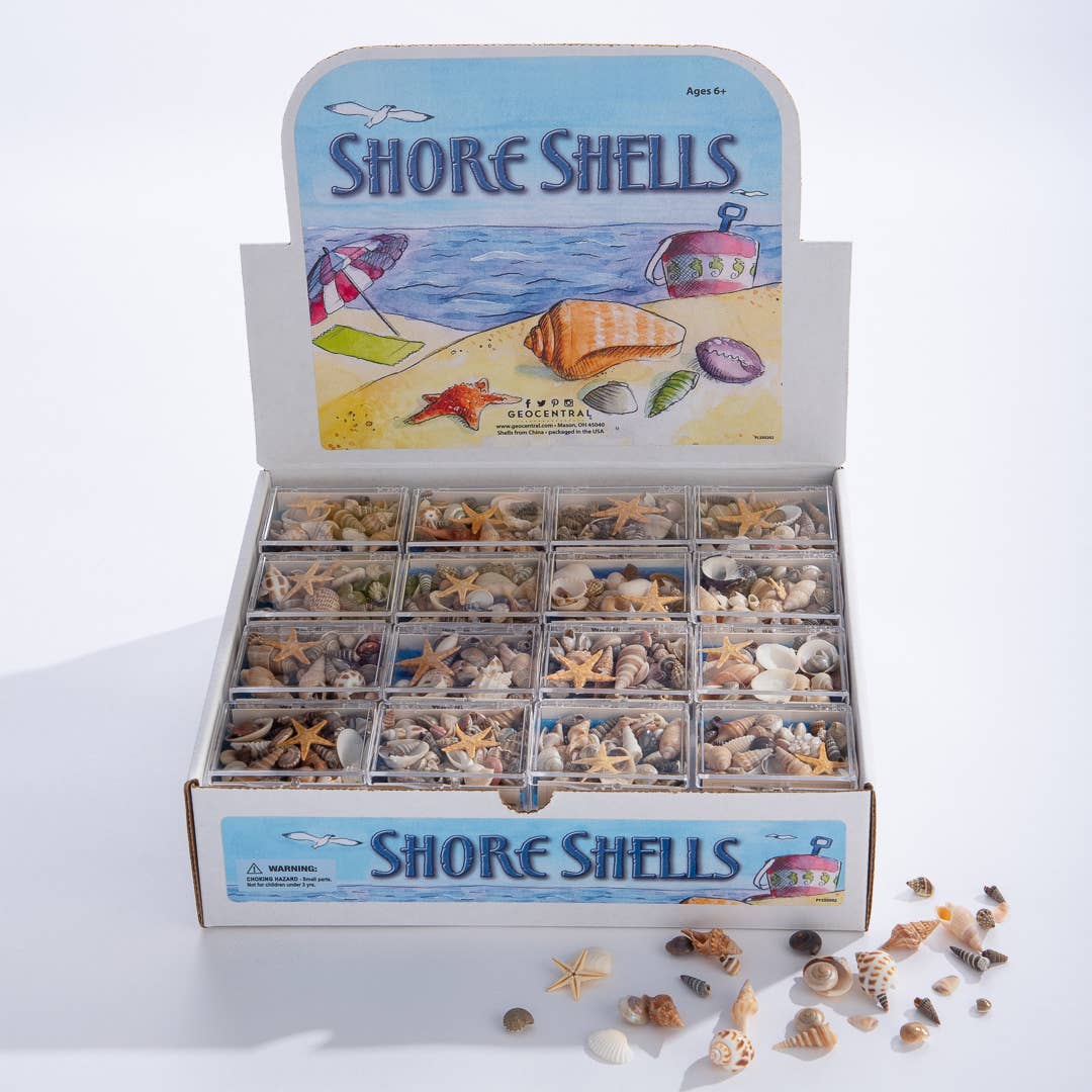 Shore Shells - Pack