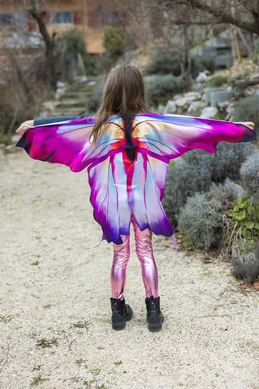 Dress Up - Ombre Butterfly Wings (Soft)