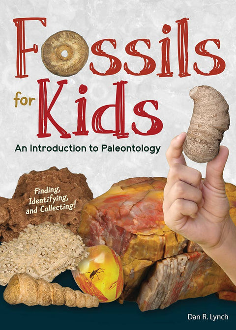 Book (Paperback) - Fossils for Kids