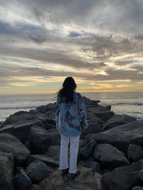 Sweater - Shark Week