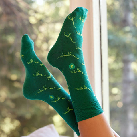 Socks that Give Books - Green Dinosaurs