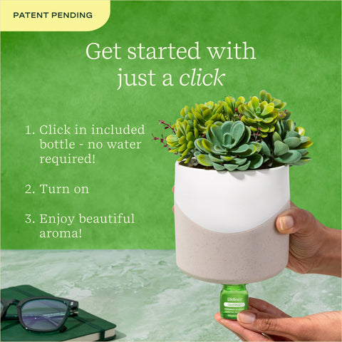 Diffuser - Succulent Plant Two Toned