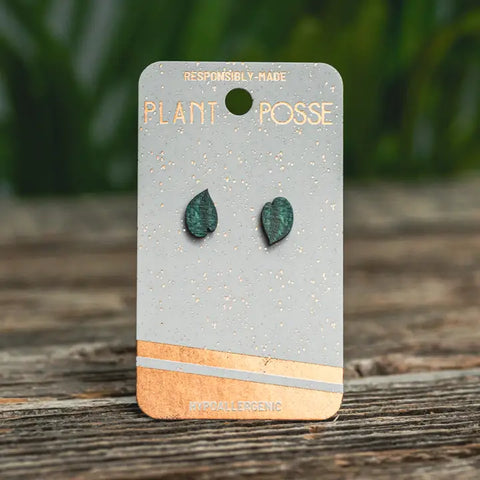 Earrings (Stud) - Satin Pothos