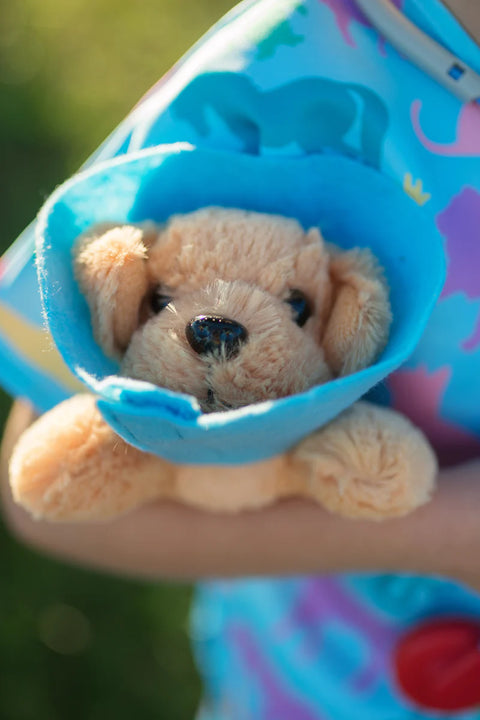 Dress Up - Veterinarian