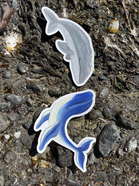 Sticker - Humpback Whale (Clear)