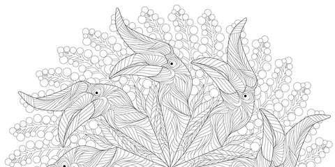 Coloring Book (Paperbacka) - Animal Mandalas