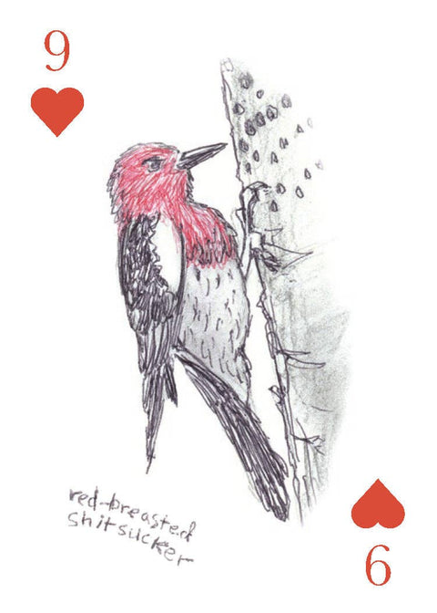Playing Cards - Field Guide to Dumb Birds
