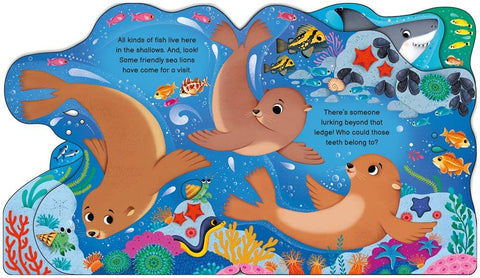 Board Book - Who's in the Ocean Today?
