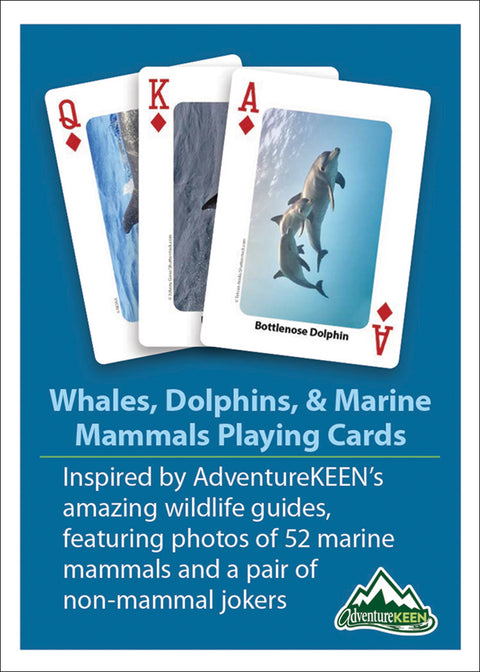 Playing Cards - Whales, Dolphins, and Marine Mammals