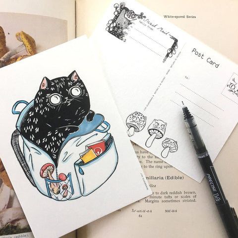 Postcard - Forager Cat