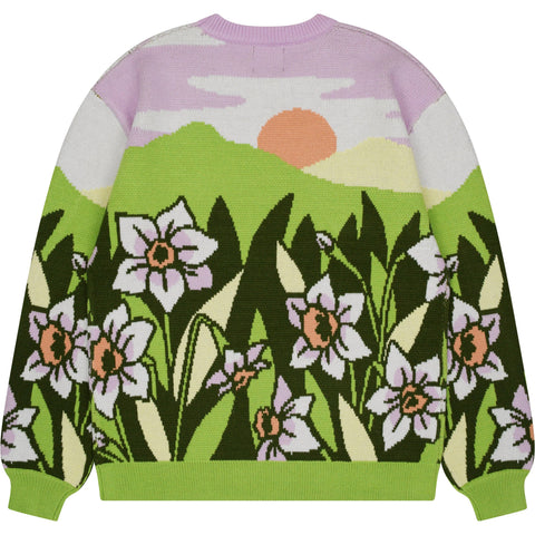 Sweater - Narcissus