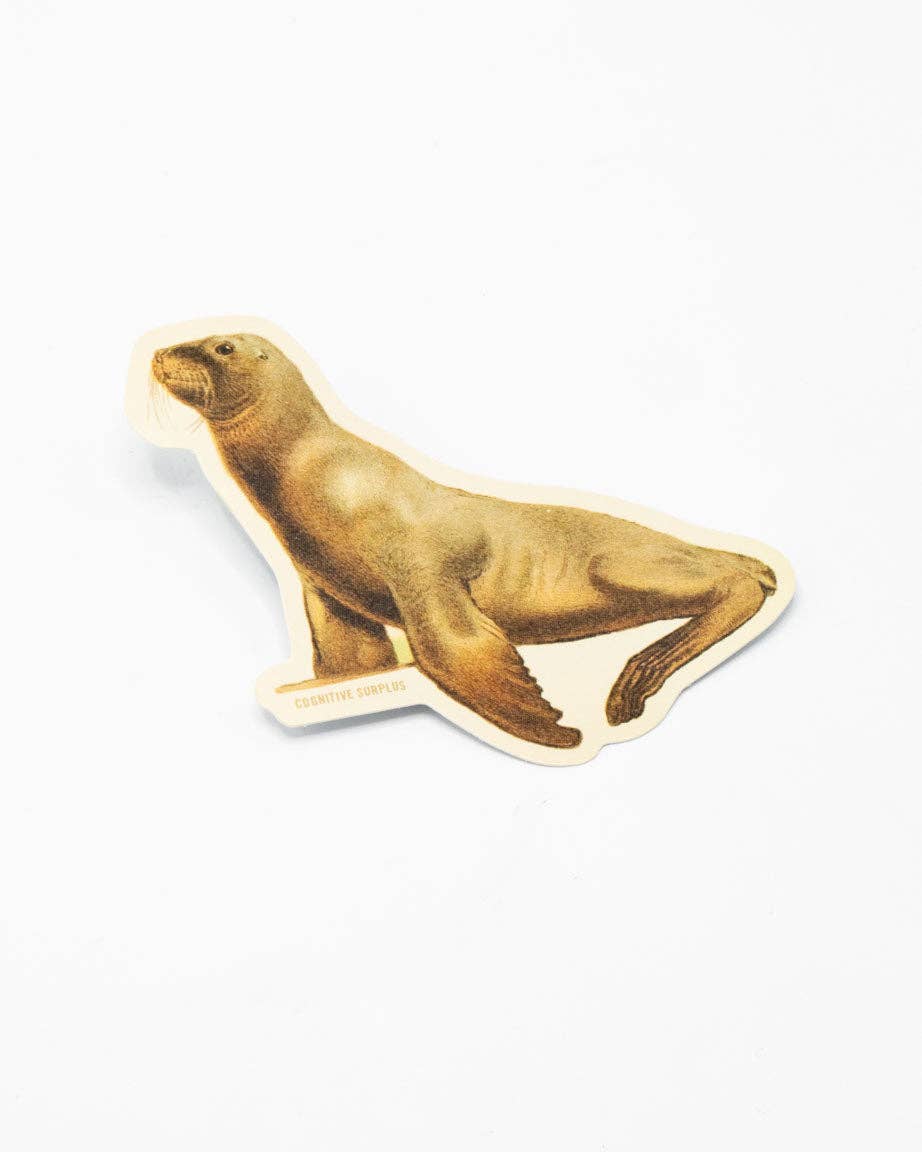 Sea Lion Sticker