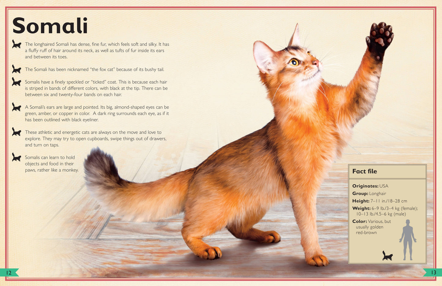 Book (Hardcover) - The Magnificent Book of Cats