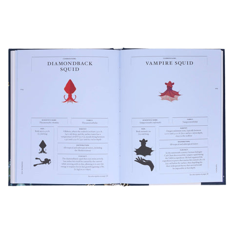 Book (Hardcover) - Sea Wonders