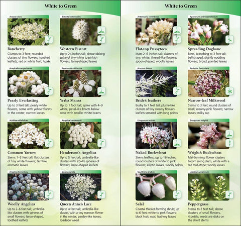 Book (Paperback) - Wildflowers of Pacific Northwest Quick Guide
