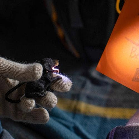 Flashlight - Black Labrador Dog Carabiner