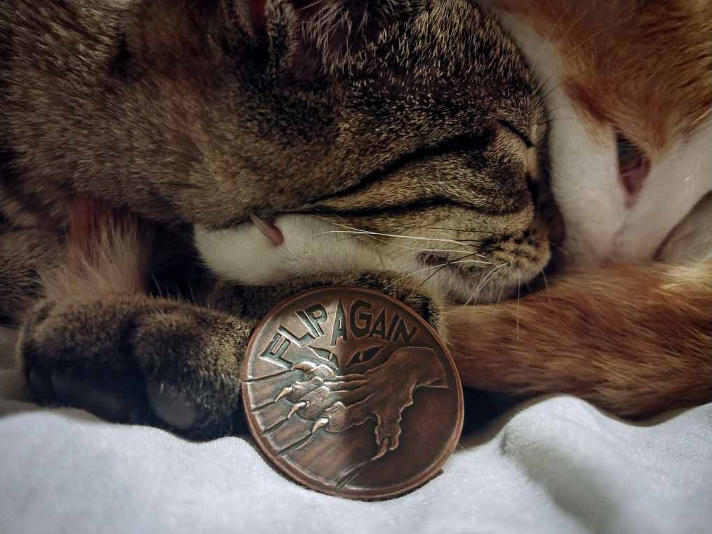 Decision Maker Coin - Pet the Cat/Flip Again