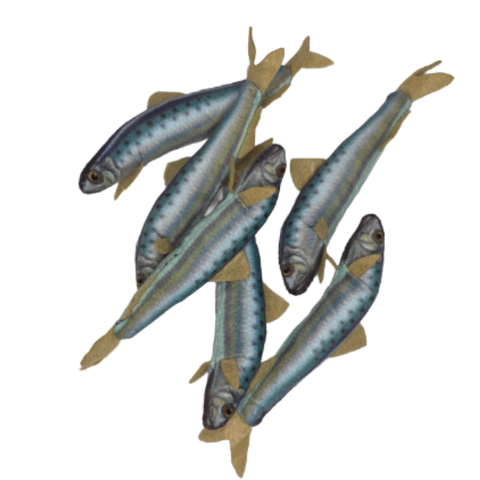 Stuffed Animal - Can O' Sardines (Standard Lid)