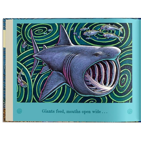 Book (Hardcover) - On An Ocean Journey: Animals in Motion through the Seas