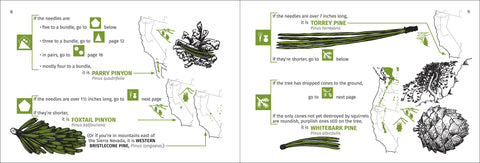 Book (Paperback) - Pacific Coast Tree Finder