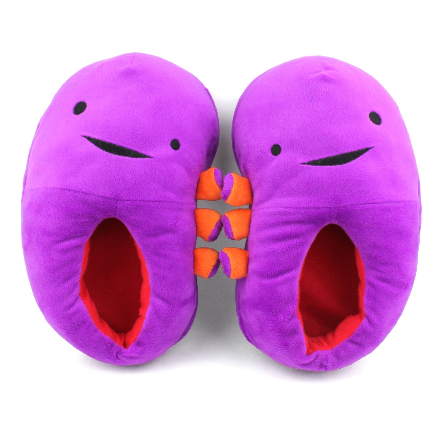 Slippers - Kidney: When Urine Love