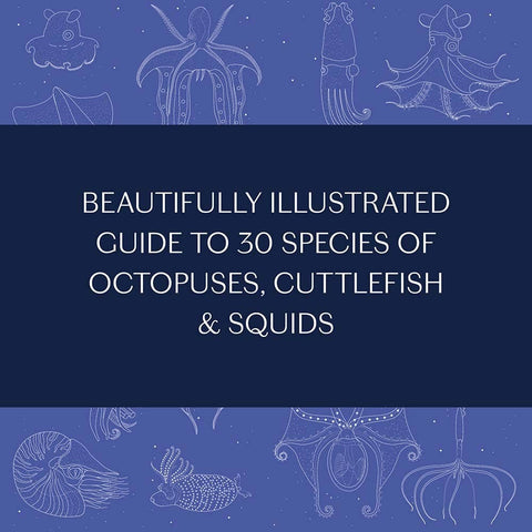 Book (Hardcover) - Sea Wonders