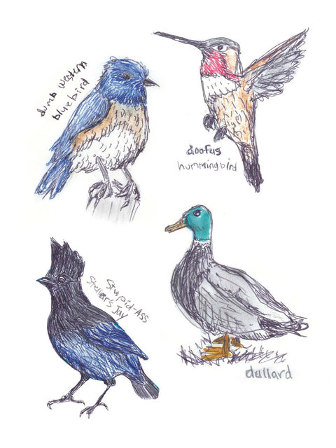 Sticker Book - Field Guide to Dumb Birds
