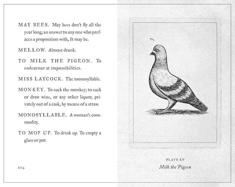 Book (Hardcover) - A Pocket Dictionary of the Vulgar Tongue