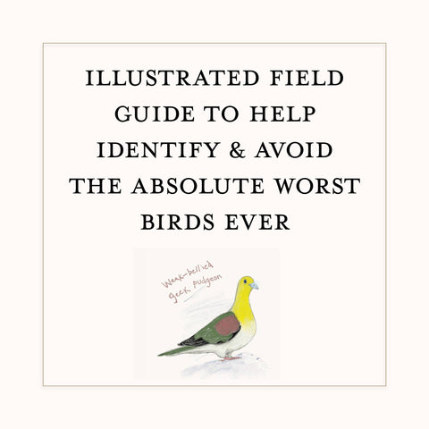 Book (Paperback) - Dumb Birds Field Guide to the Worst Birds Ever