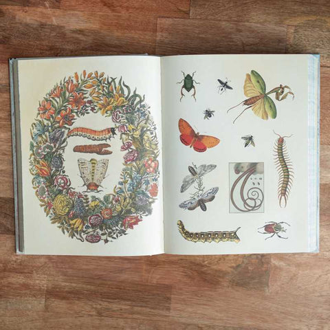 Sticker Book (Hardcover) - Cabinet of Curiosities