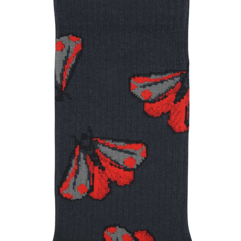 Socks - Cinnabar Moth