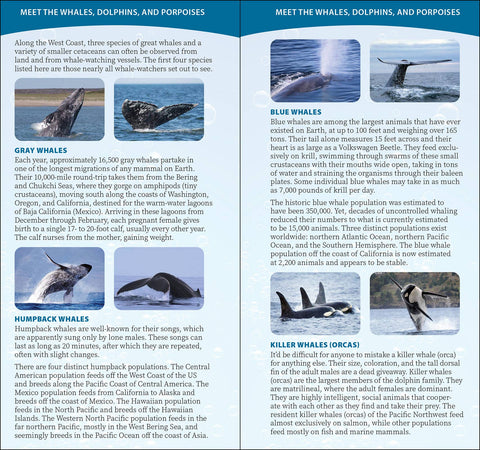 Book (Paperback) - Whale-Watching on the Pacific Coast Quick Guide