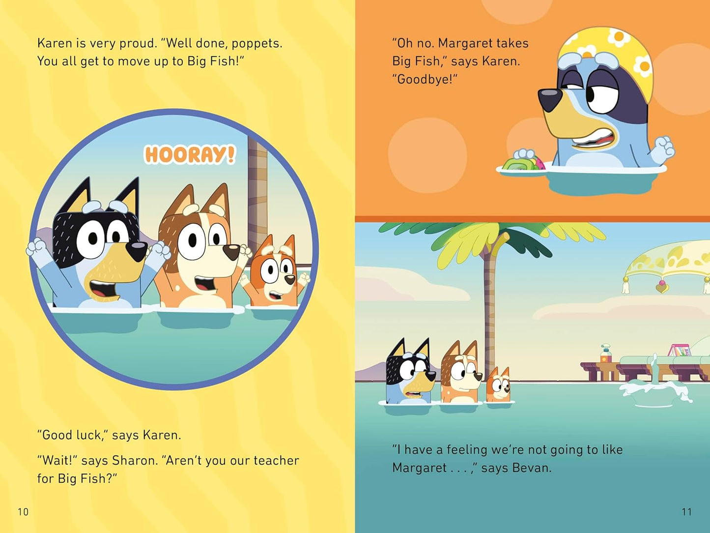 Book (Paperback) - Bluey: Swim School