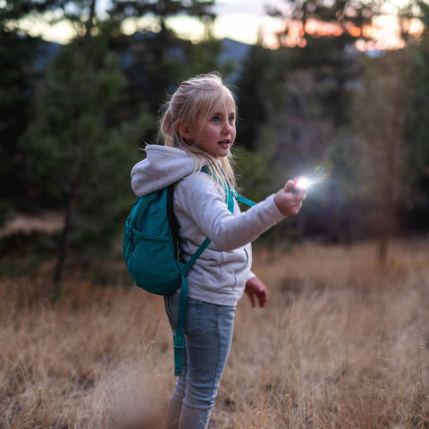 Flashlight - Green Lizard Carabiner