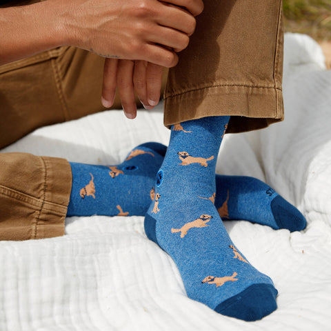 Socks that Save Dogs - Golden Retrievers