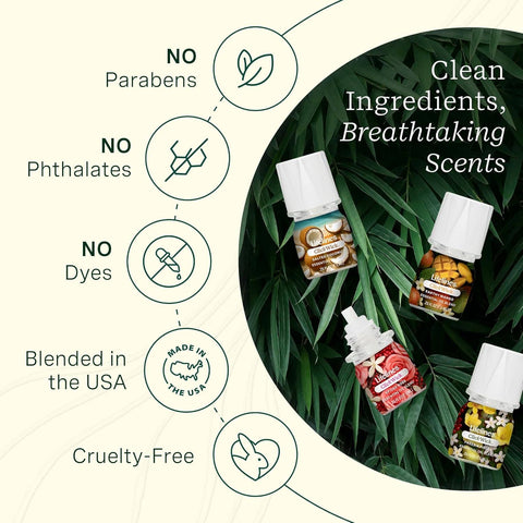 Lifelines Lush Earth ClickWick Collection - 4 Pack