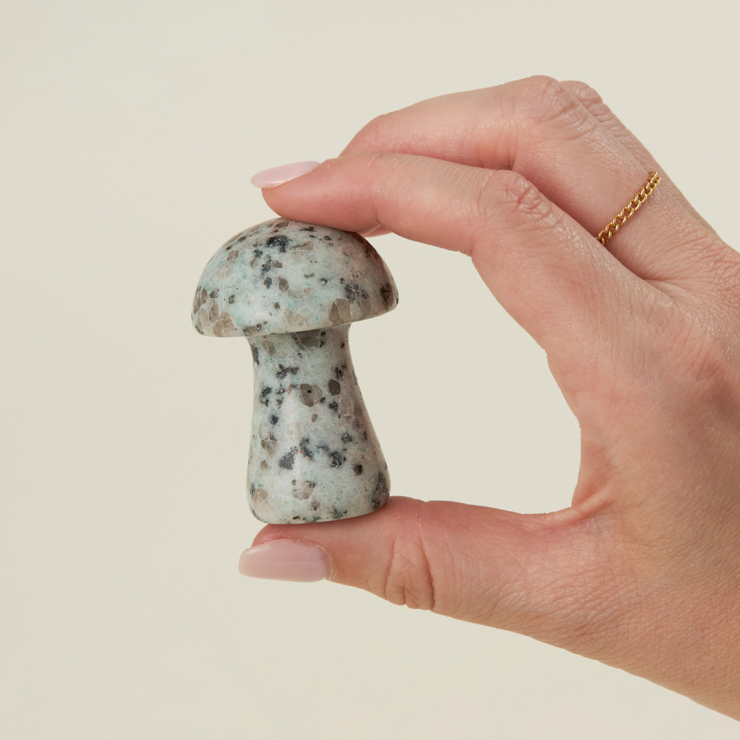 Rocks - Large Carved Crystal Mushroom Assortment 🍄