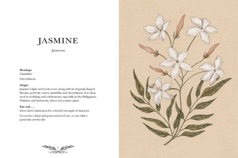 Book (Hardcover) - Floriography