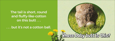 Book (Hardcover) - Whose Baby Butt?