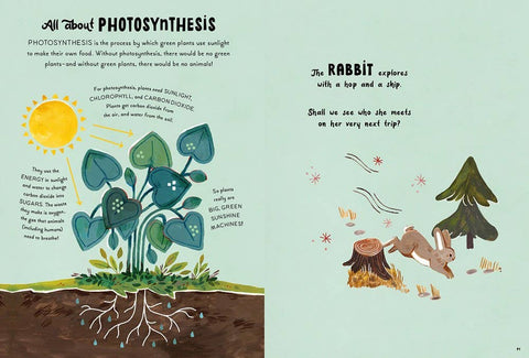 Book (Hardcover) - 5-Minute Nature Stories
