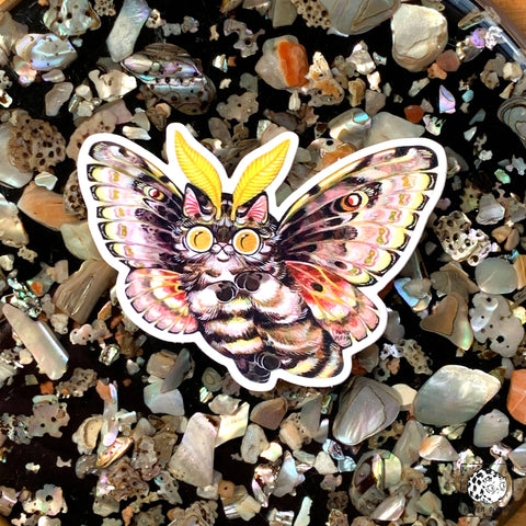 Sticker - Moth Cat "Pine"