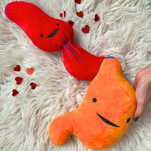 Stuffed Animal - Esophagus