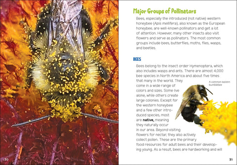 Book (Paperback) - Pollinators & Native Plants for Kids
