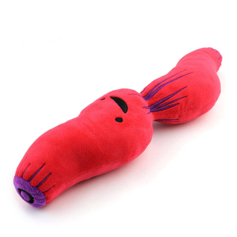 Stuffed Animal - Esophagus