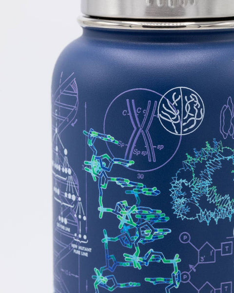 Water Bottle (Stainless Steel) - Genetics & DNA 32