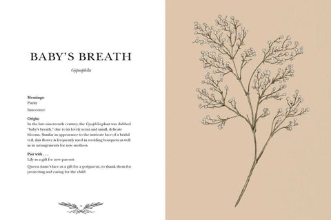 Book (Hardcover) - Floriography