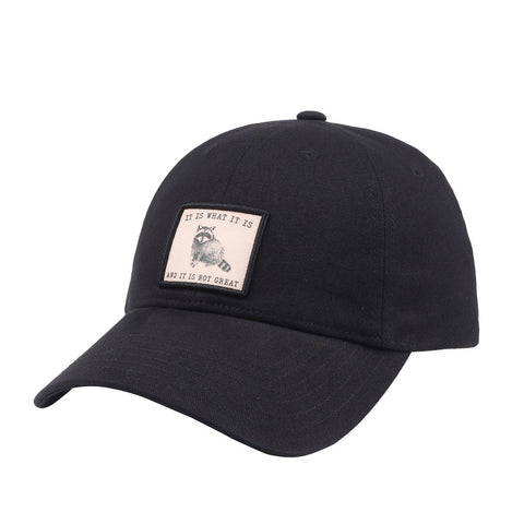 Baseball Cap - It Is What It Is and It Is Not Great Raccoon