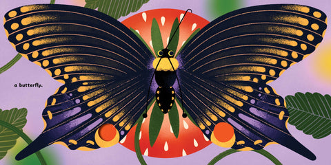 Book (Hardcover) - Because of a Bee
